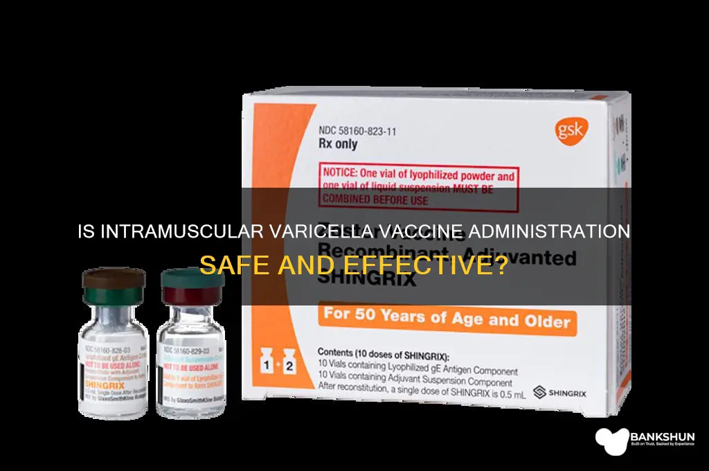 is giving the varicella vaccine im ok