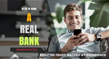 Go to Bank: Is It a Real Bank?