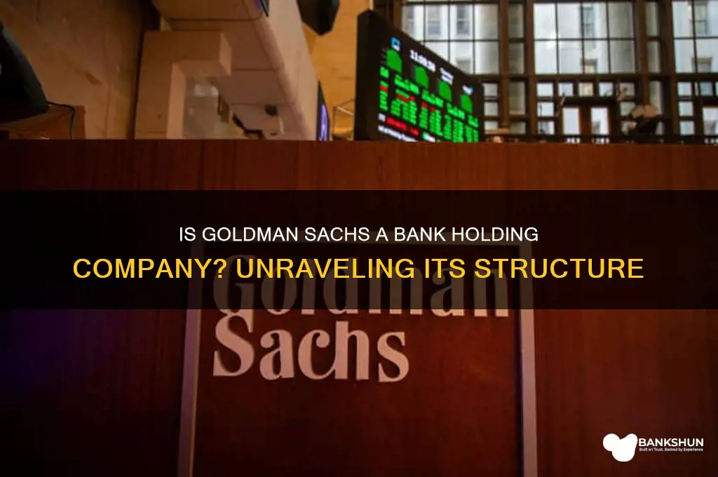 is goldman sachs a bank holding company