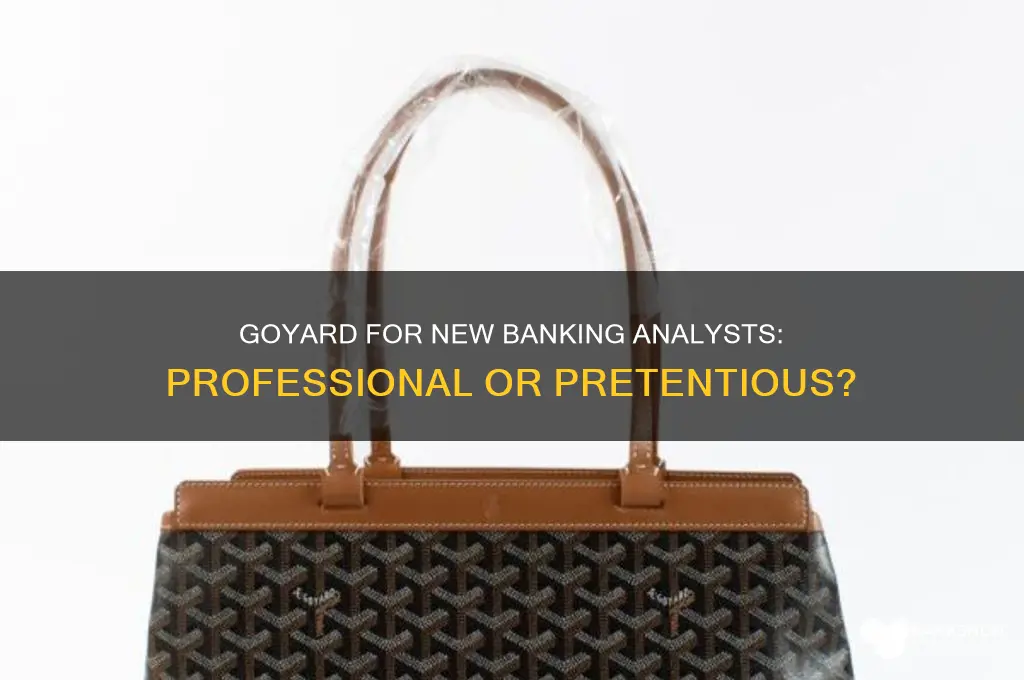 is goyard appropriate for new banking analyst
