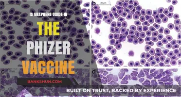 Graphene Oxide in Pfizer Vaccine: Fact or Fiction?