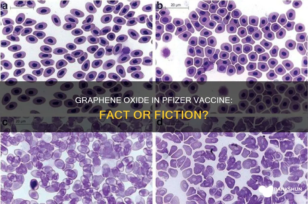 is graphene oxide in the phizer vaccine