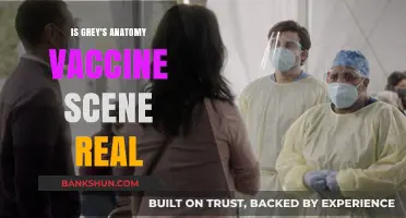 Is Grey's Anatomy's Vaccine Scene Real or Fictional?