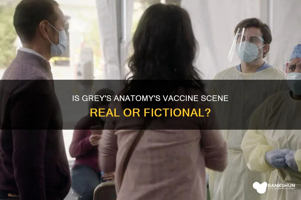 is grey
