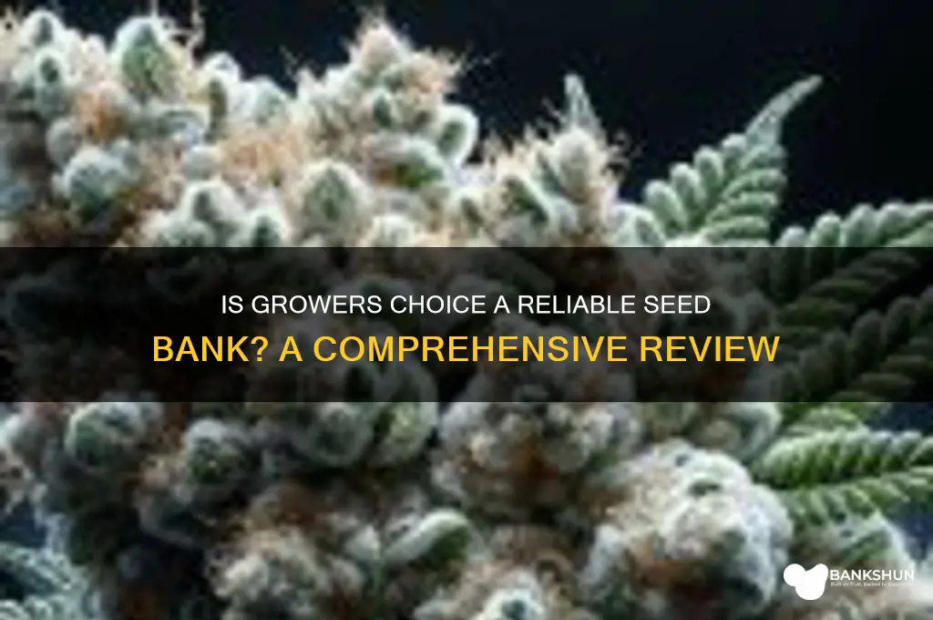 is growers choice a good seed bank