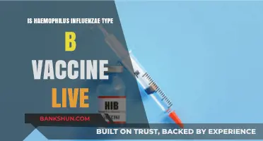 Is Haemophilus Influenzae Type B Vaccine Live? Facts Explained