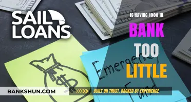 Is $1000 in Savings Enough? Evaluating Your Financial Security