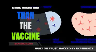 Antibodies vs. Vaccines: Which Offers Stronger, Longer-Lasting Immunity?