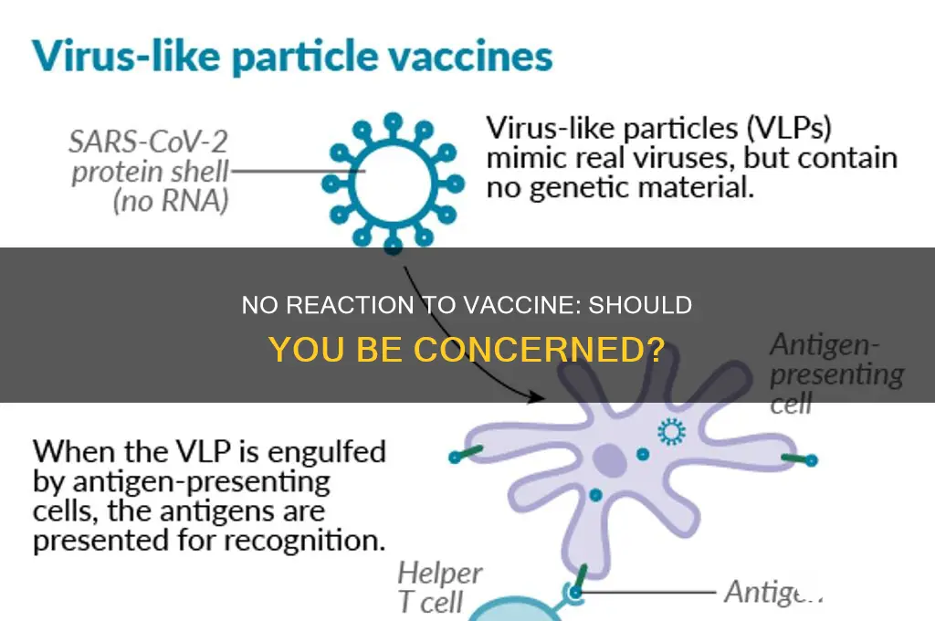 is having no reaction to vaccine bad