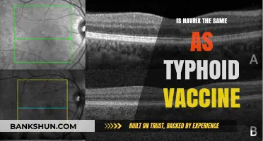 Havrix vs Typhoid Vaccine: Understanding the Key Differences and Uses