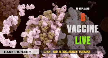Are Hepatitis A and B Vaccines Live or Inactivated?