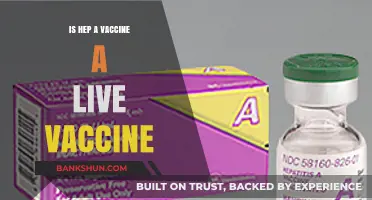 Is the Hepatitis A Vaccine Live? Understanding Its Composition