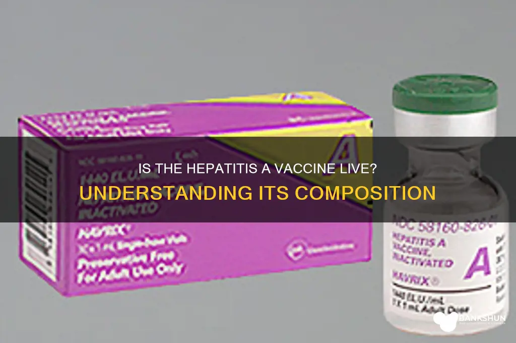 is hep a vaccine a live vaccine