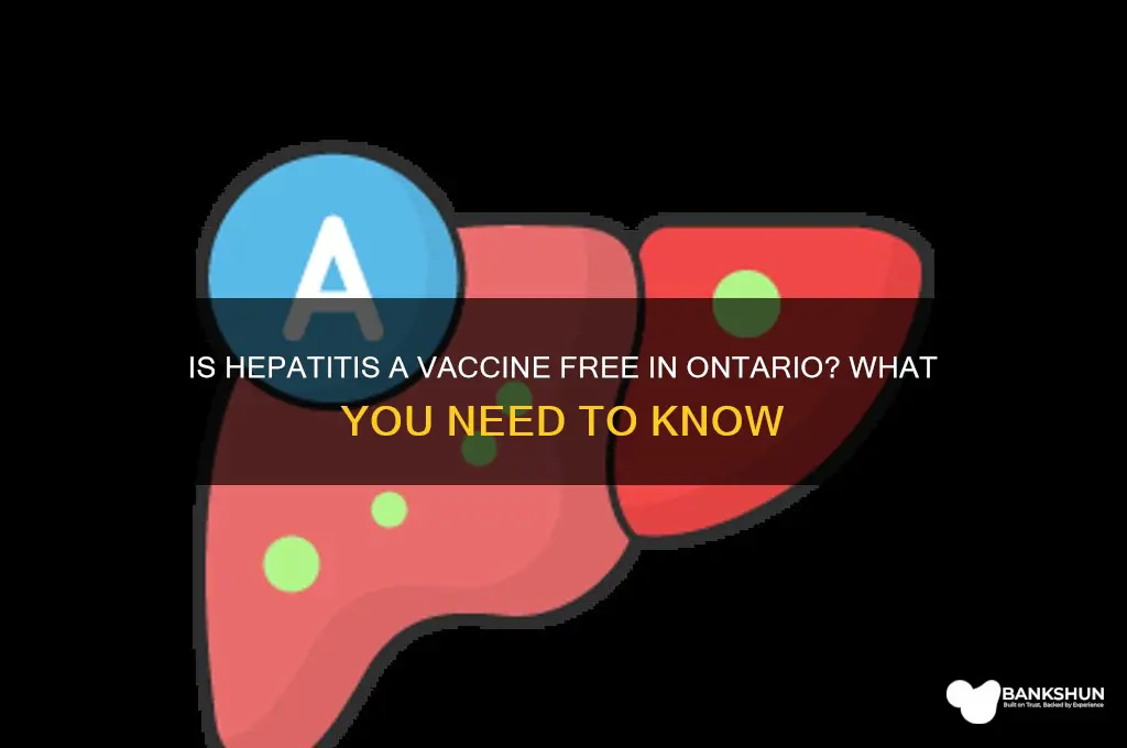 is hep a vaccine free in ontario