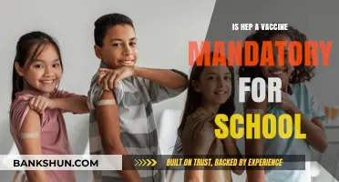 Is the Hepatitis A Vaccine Required for School Enrollment?