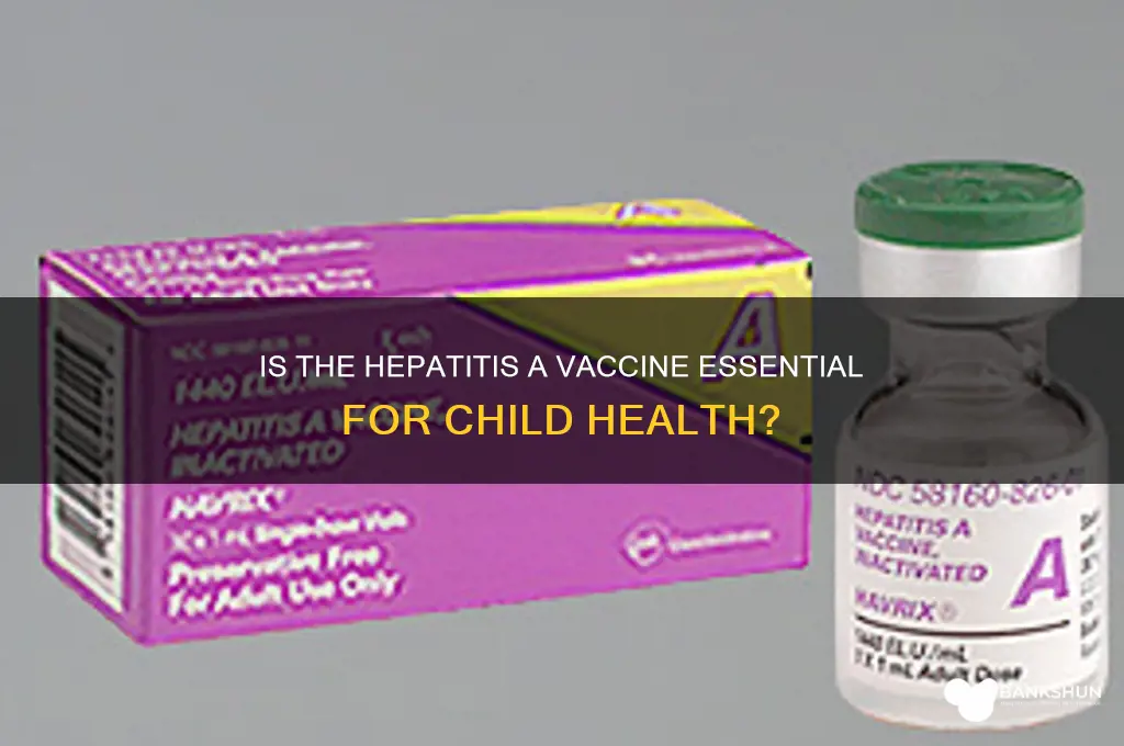 is hep a vaccine necessary for children