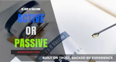 Hepatitis B Vaccine: Understanding Active vs. Passive Immunity