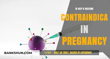 Hepatitis B Vaccine Safety: Is It Contraindicated During Pregnancy?