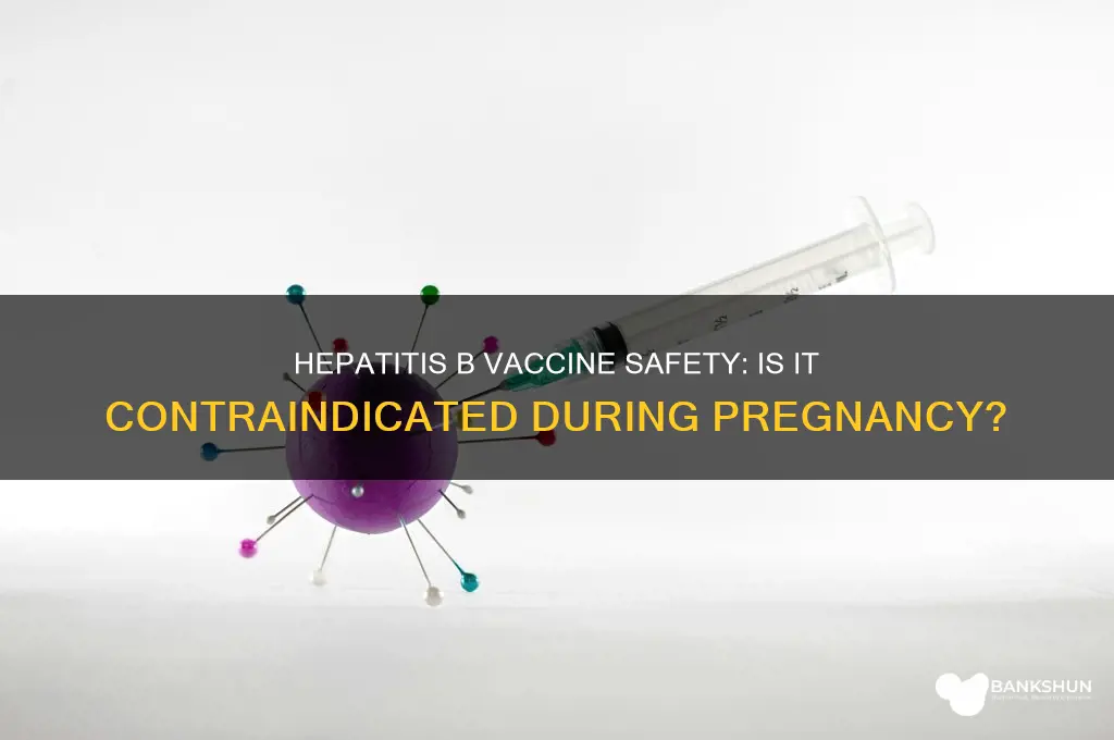 is hep b vaccine contraindicated in pregnancy