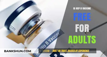 Is the Hepatitis B Vaccine Free for Adults? What You Need to Know