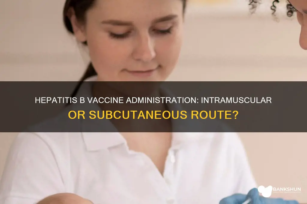 is hep b vaccine im or subq