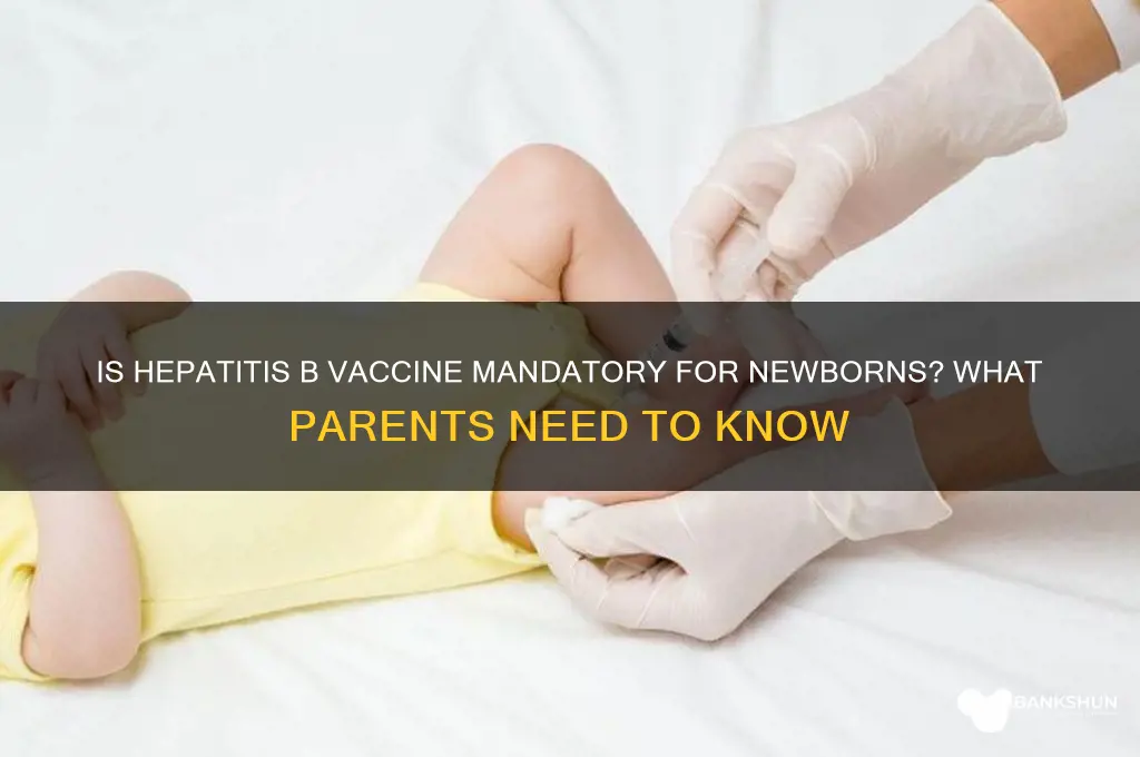 is hep b vaccine mandatory for newborns