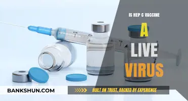 Is the Hepatitis C Vaccine a Live Virus? Facts Explained