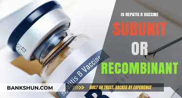 Hepatitis B Vaccine: Understanding Subunit vs. Recombinant Technology