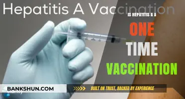 Hepatitis A Vaccination: Is One Dose Enough for Lifelong Protection?