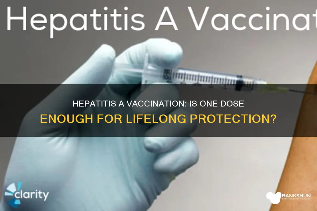 is hepatitis a a one time vaccination