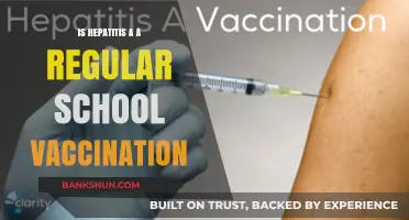 Is Hepatitis A Included in Standard School Vaccination Schedules?