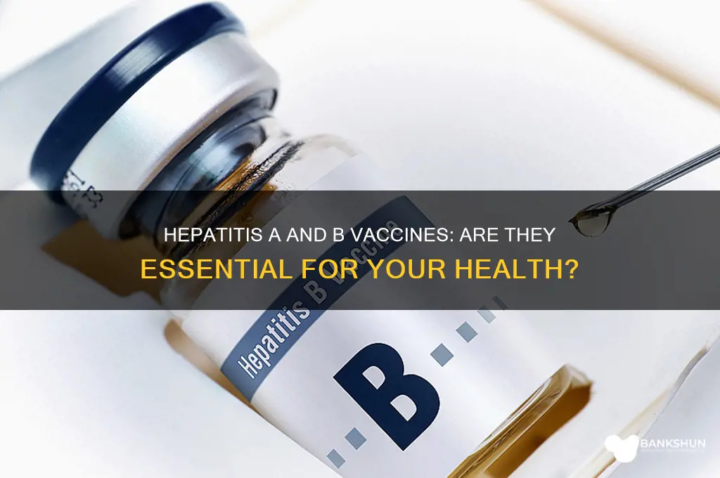 is hepatitis a and b vaccine necessary
