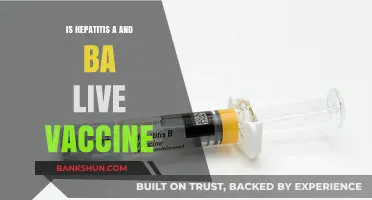 Understanding Hepatitis A and B: Live Vaccine Facts and Benefits