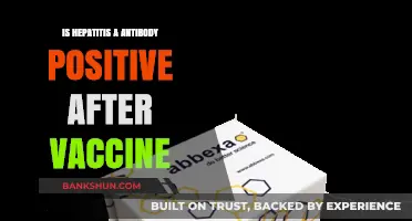 Hepatitis A Antibody Positivity Post-Vaccination: What You Need to Know
