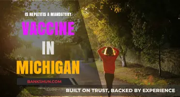 Is Hepatitis Vaccine Mandatory in Michigan? What You Need to Know