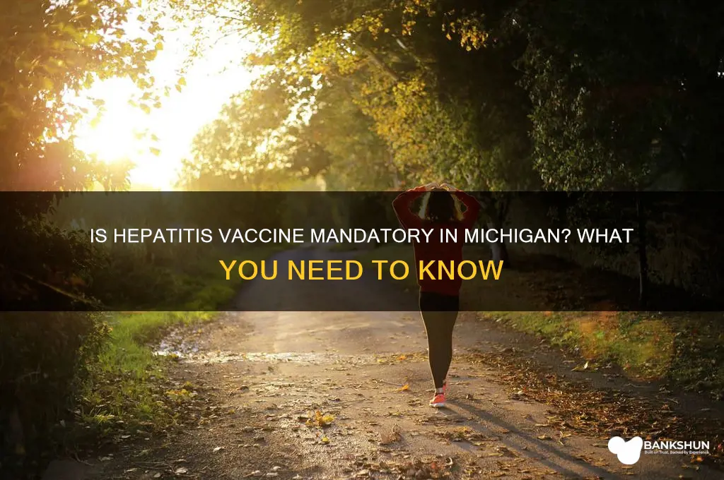 is hepatitis a mandatory vaccine in michigan