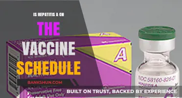 Hepatitis A Vaccine: Is It Part of the Routine Schedule?