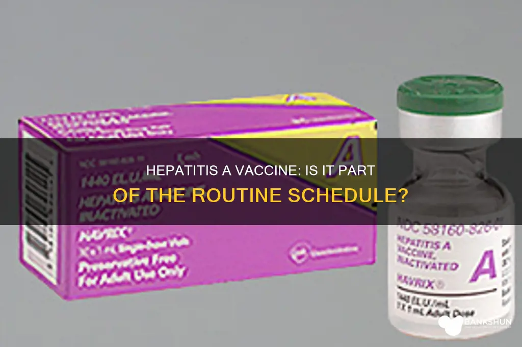 is hepatitis a on the vaccine schedule