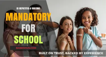 Is Hepatitis A Vaccine Required for School Enrollment?