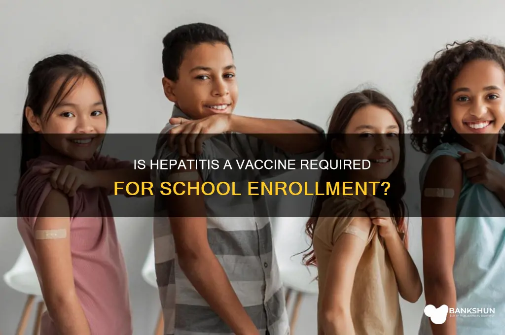 is hepatitis a vaccine mandatory for school