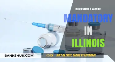 Is Hepatitis A Vaccine Mandatory in Illinois? What You Need to Know