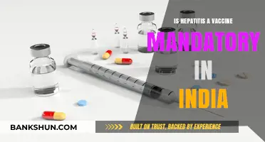 Is Hepatitis A Vaccine Mandatory in India? Key Facts Explained