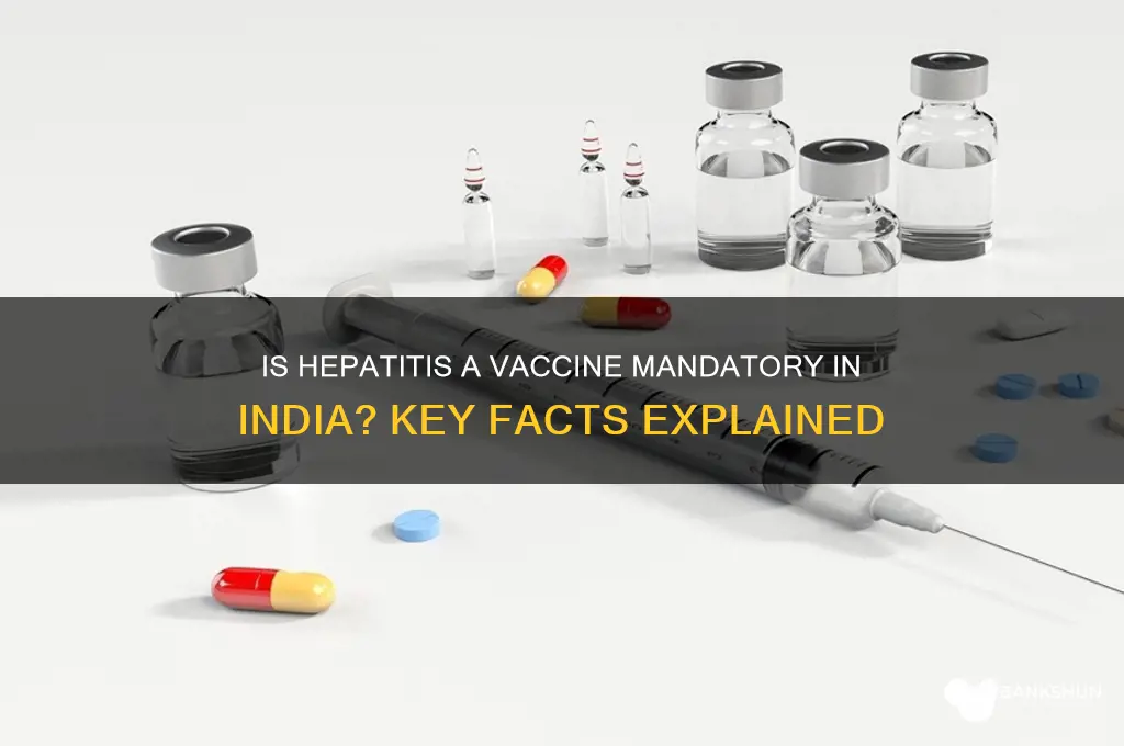 is hepatitis a vaccine mandatory in india