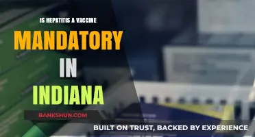 Is Hepatitis A Vaccine Mandatory in Indiana? What You Need to Know