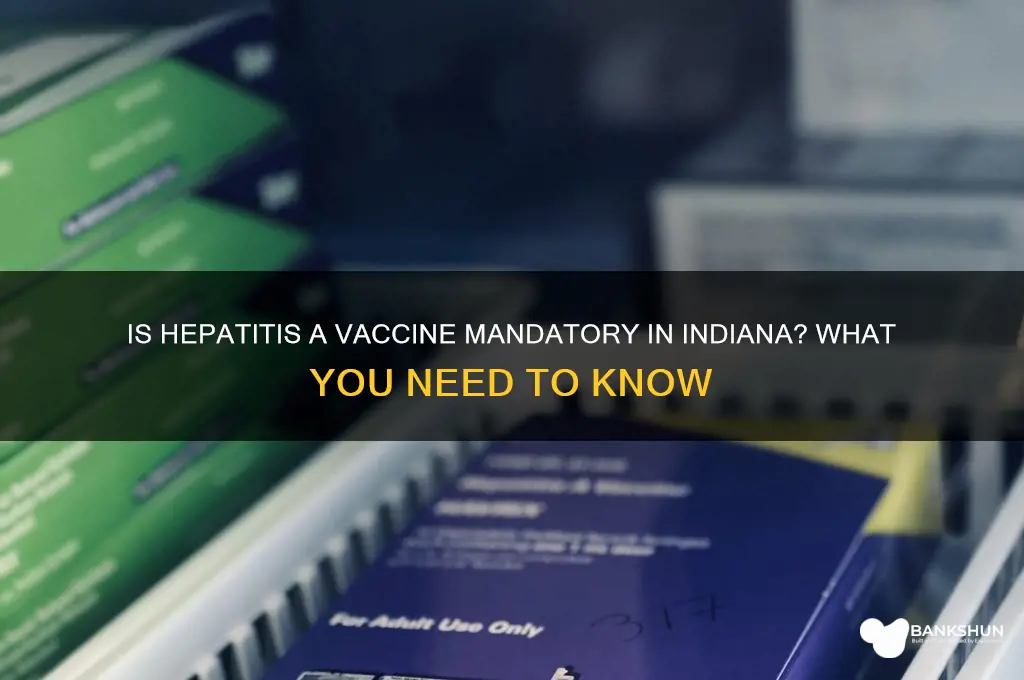 is hepatitis a vaccine mandatory in indiana