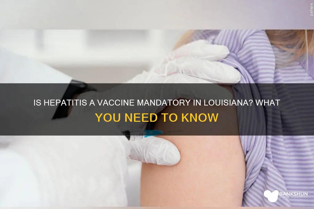 is hepatitis a vaccine mandatory in louisiana