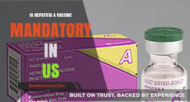 Is Hepatitis A Vaccine Mandatory in the US?
