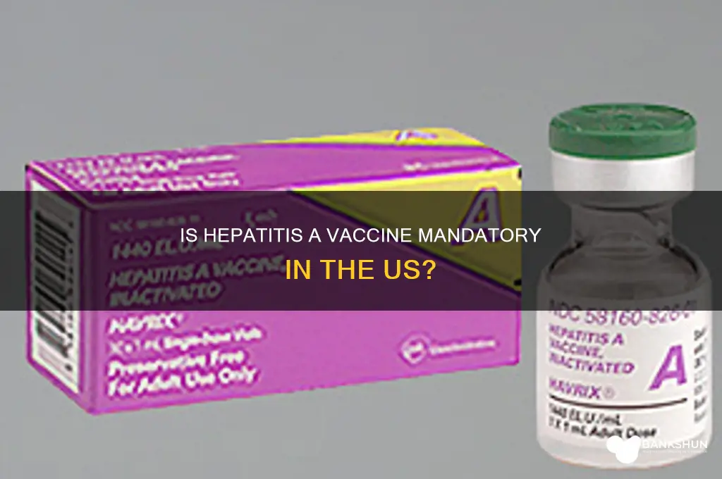 is hepatitis a vaccine mandatory in us