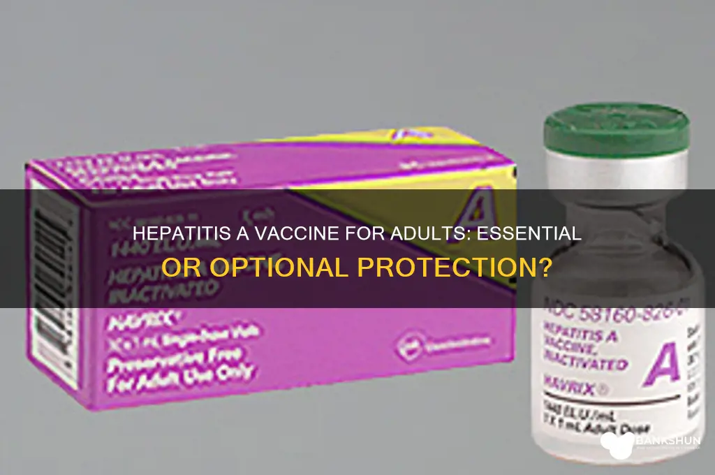 is hepatitis a vaccine necessary for adults