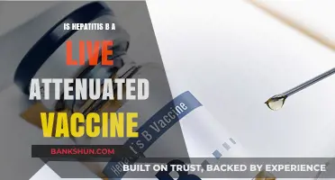Hepatitis B Vaccine: Live Attenuated or Not? Understanding the Facts